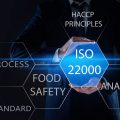 Rodzina standardów ISO 22000 – jakie elementy przemysłu spożywczego reguluje?